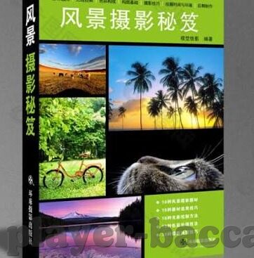 足球比分直墦-足球比分直播，赛场风云的实时见证者